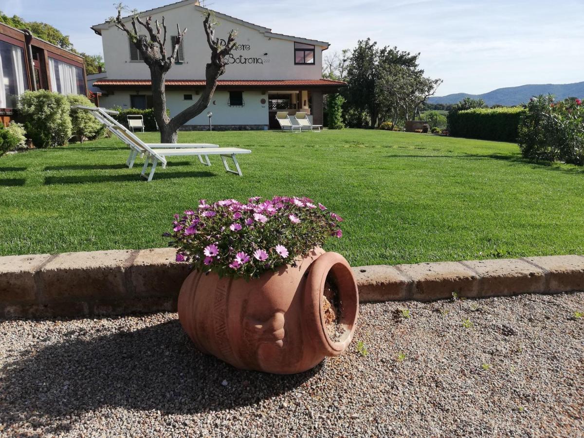 Agriturismo Diaccia Botrona Castiglione della Pescaia Ngoại thất bức ảnh
