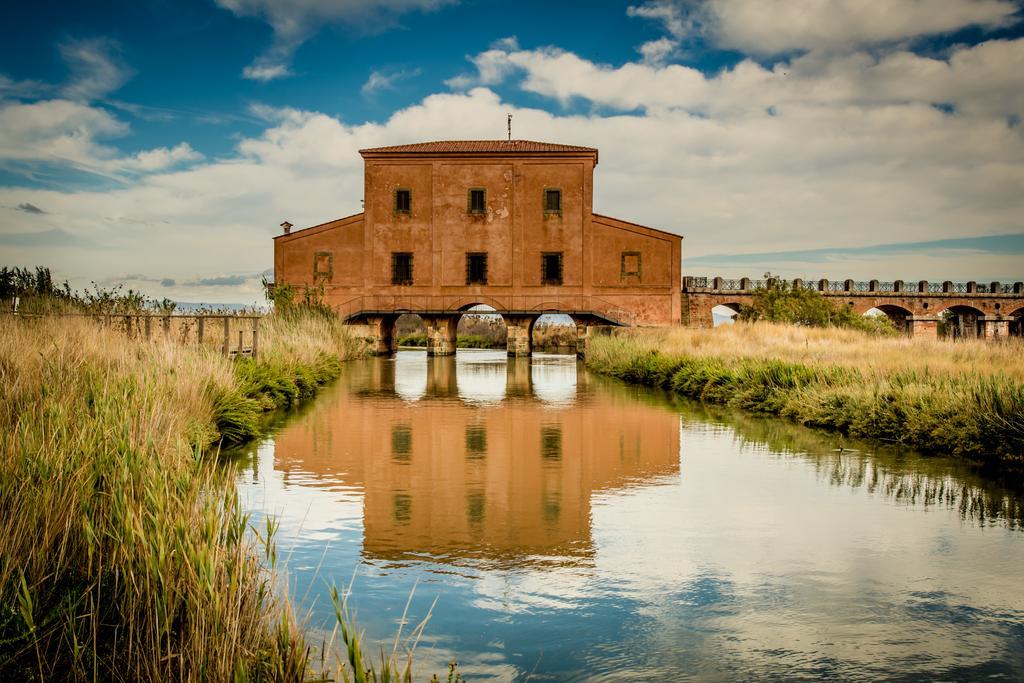 Agriturismo Diaccia Botrona Castiglione della Pescaia Ngoại thất bức ảnh