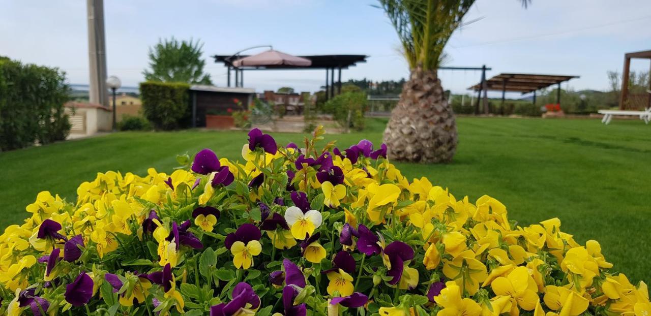Agriturismo Diaccia Botrona Castiglione della Pescaia Ngoại thất bức ảnh